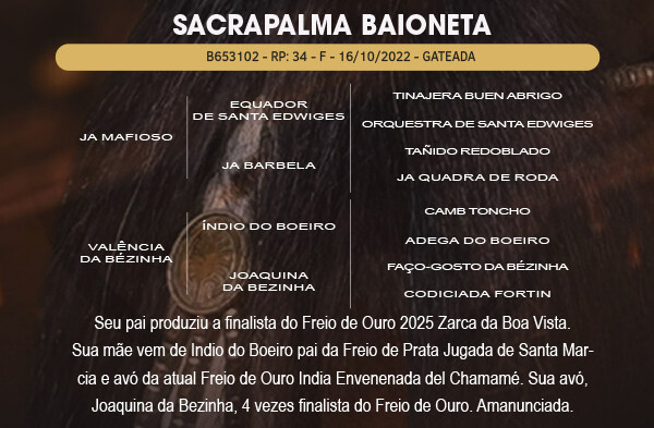 Geração SACRAPALMA BAIONETA