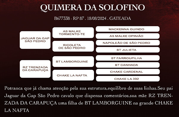 Geração QUIMERA DA SOLOFINO