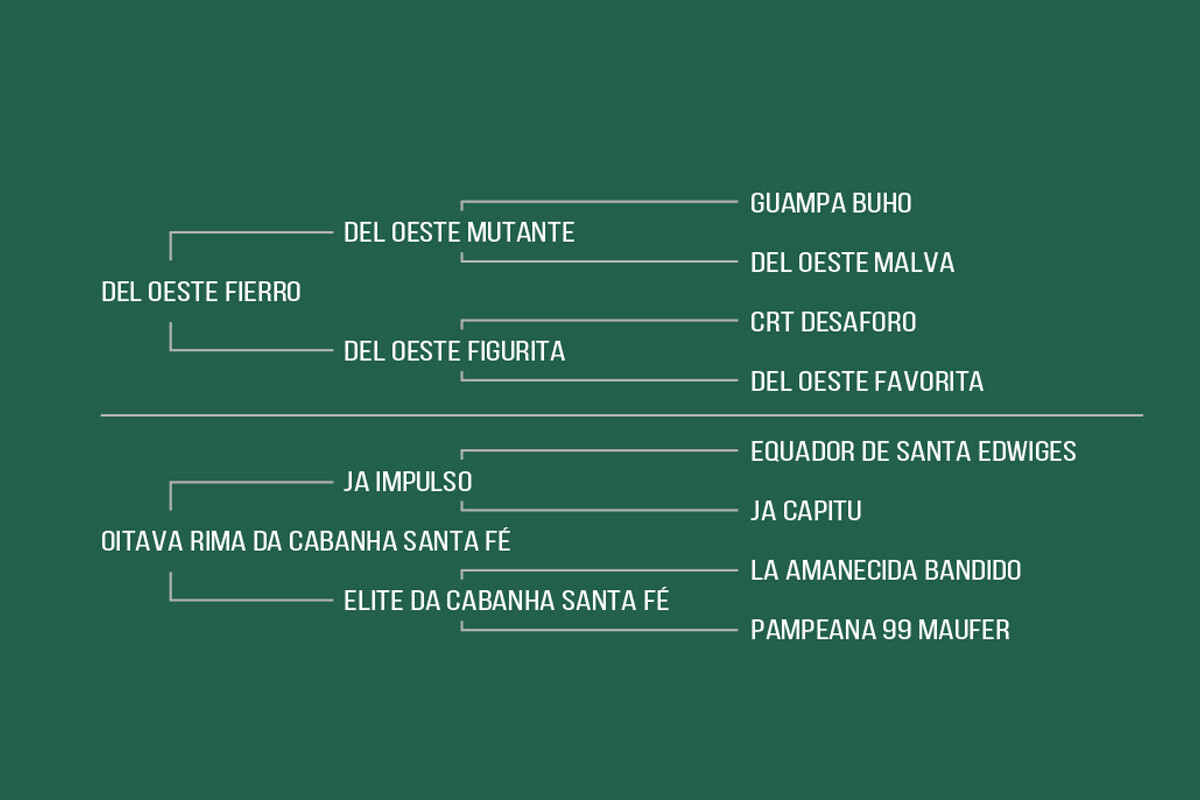Geração XARADA DA CABANHA SANTA FÉ