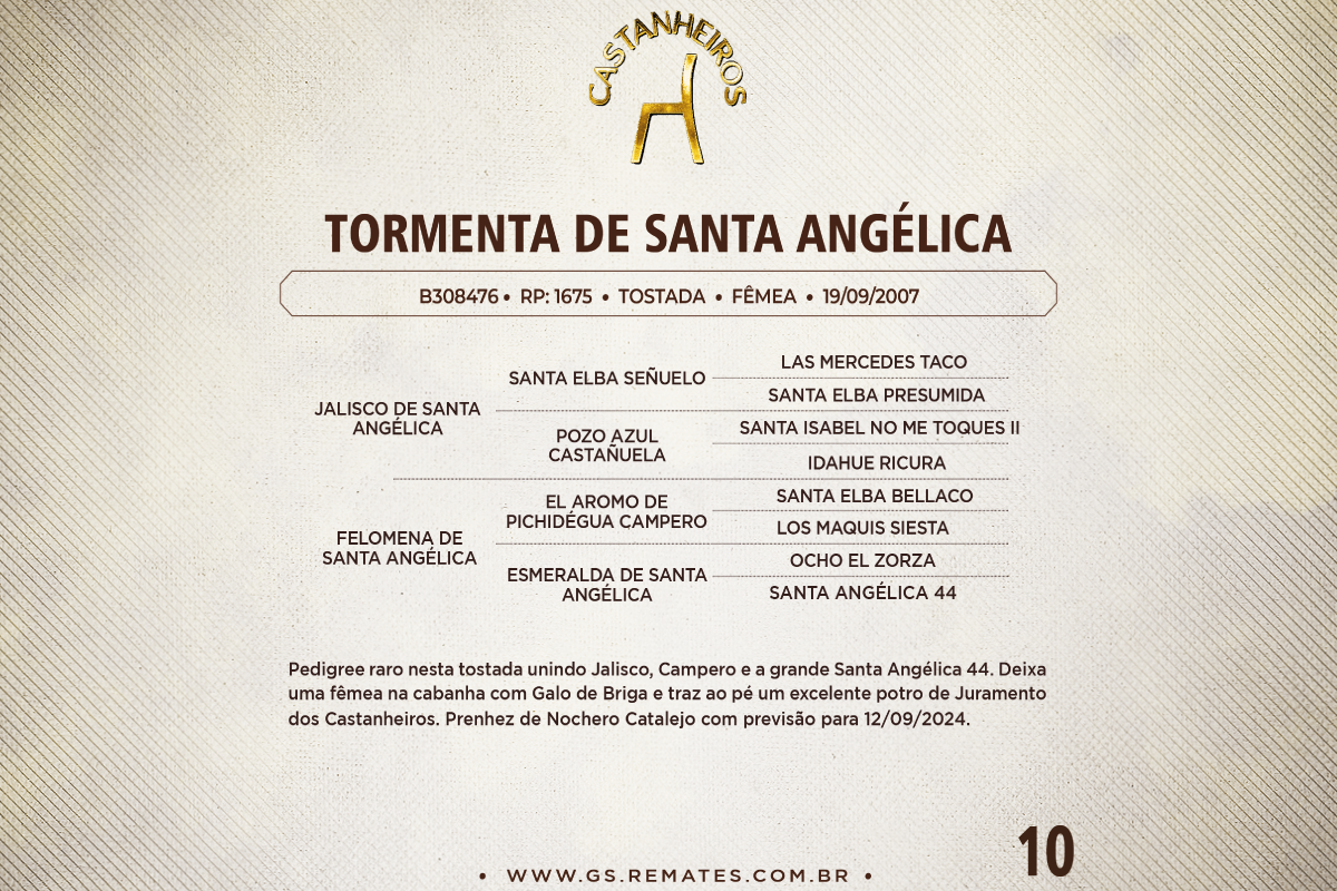 Geração TORMENTA DE SANTA ANGÉLICA 