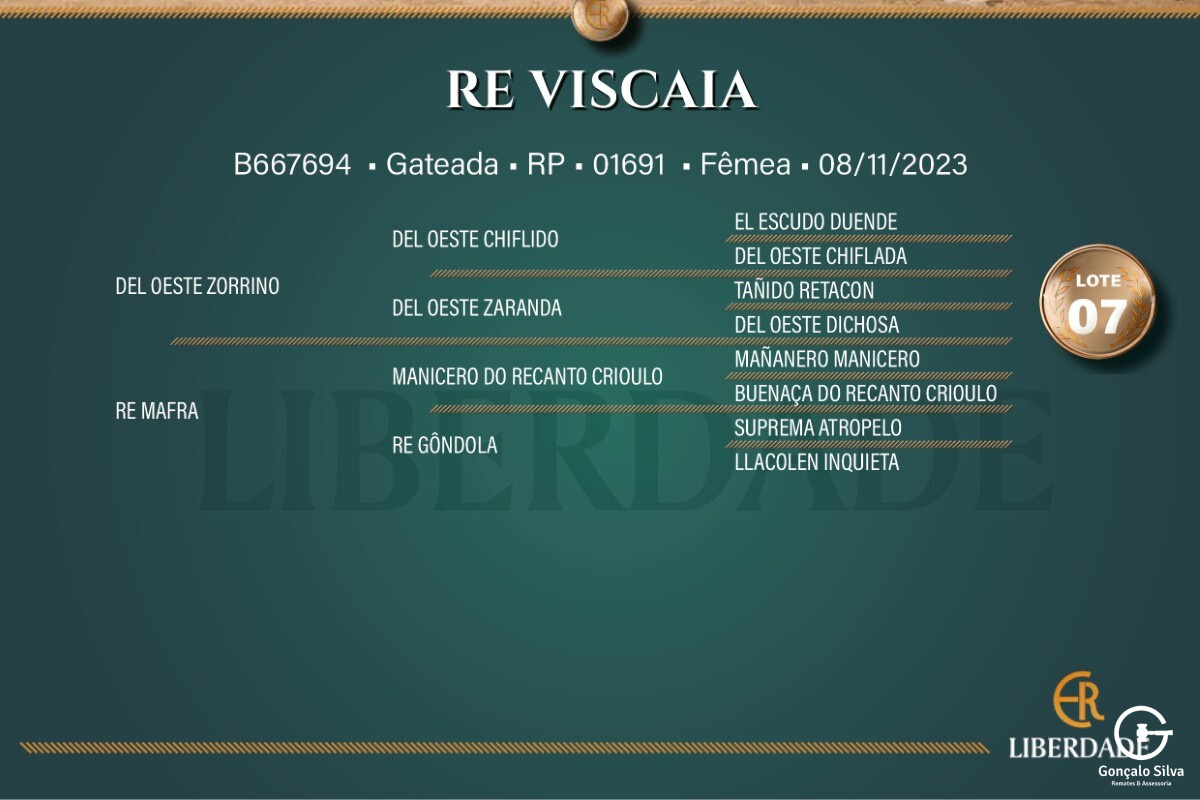 Geração RE VISCAIA