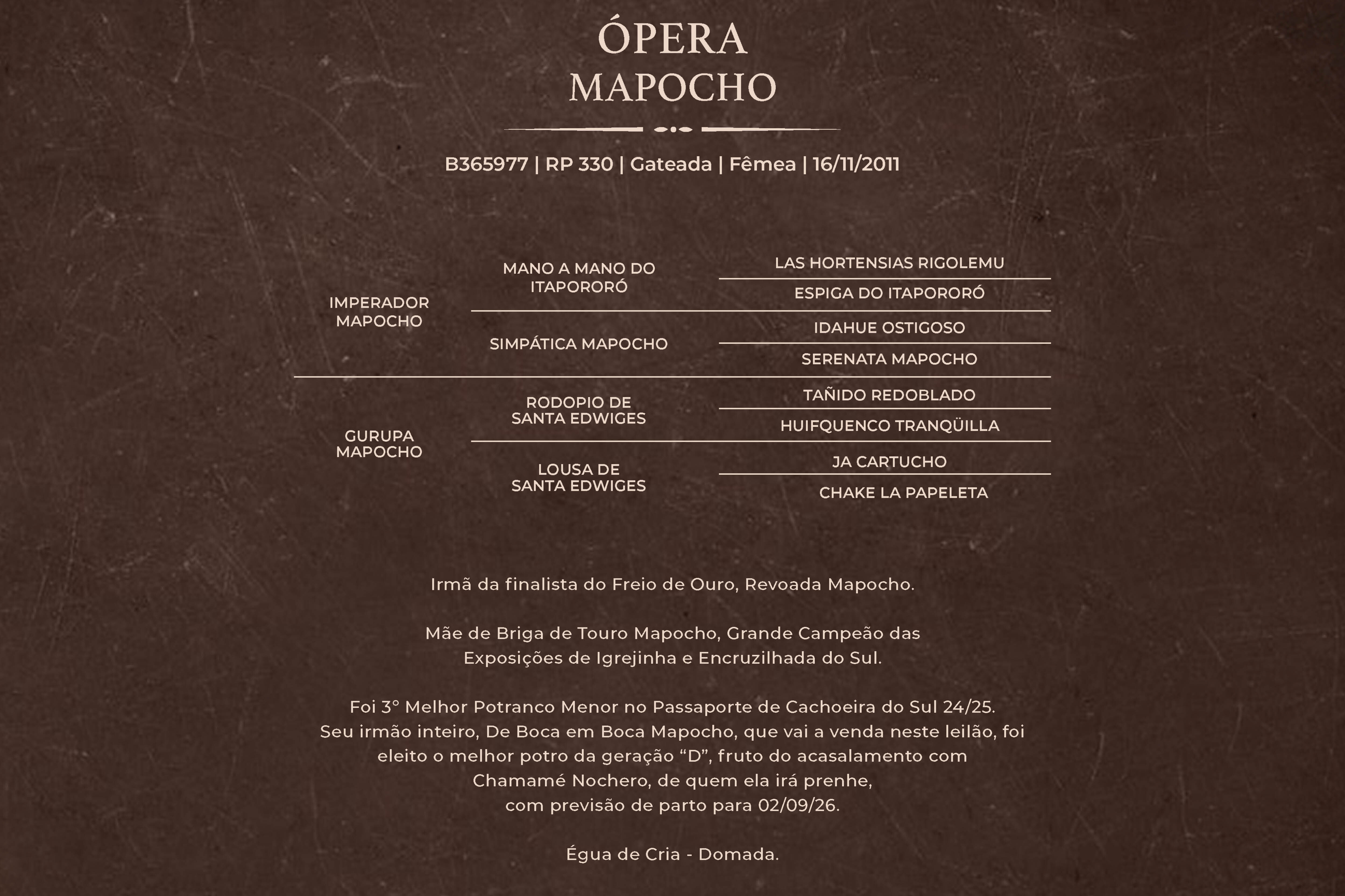 Geração ÓPERA MAPOCHO