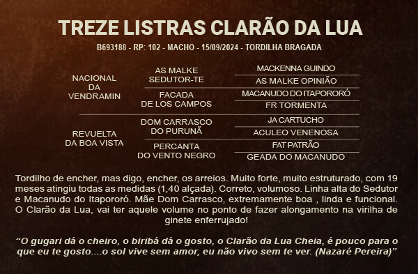 Geração TREZE LISTRAS CLARÃO DA LUA