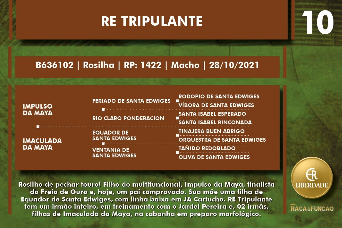 Geração RE TRIPULANTE