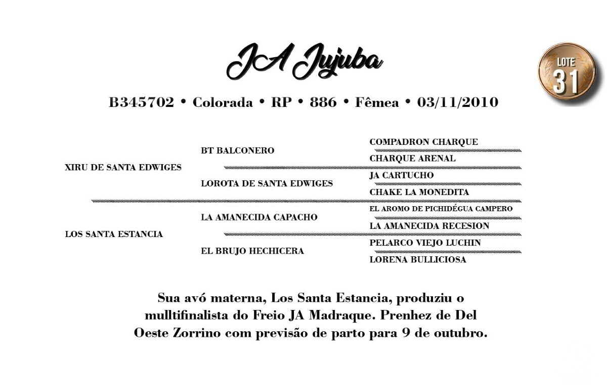 Geração JA JUJUBA