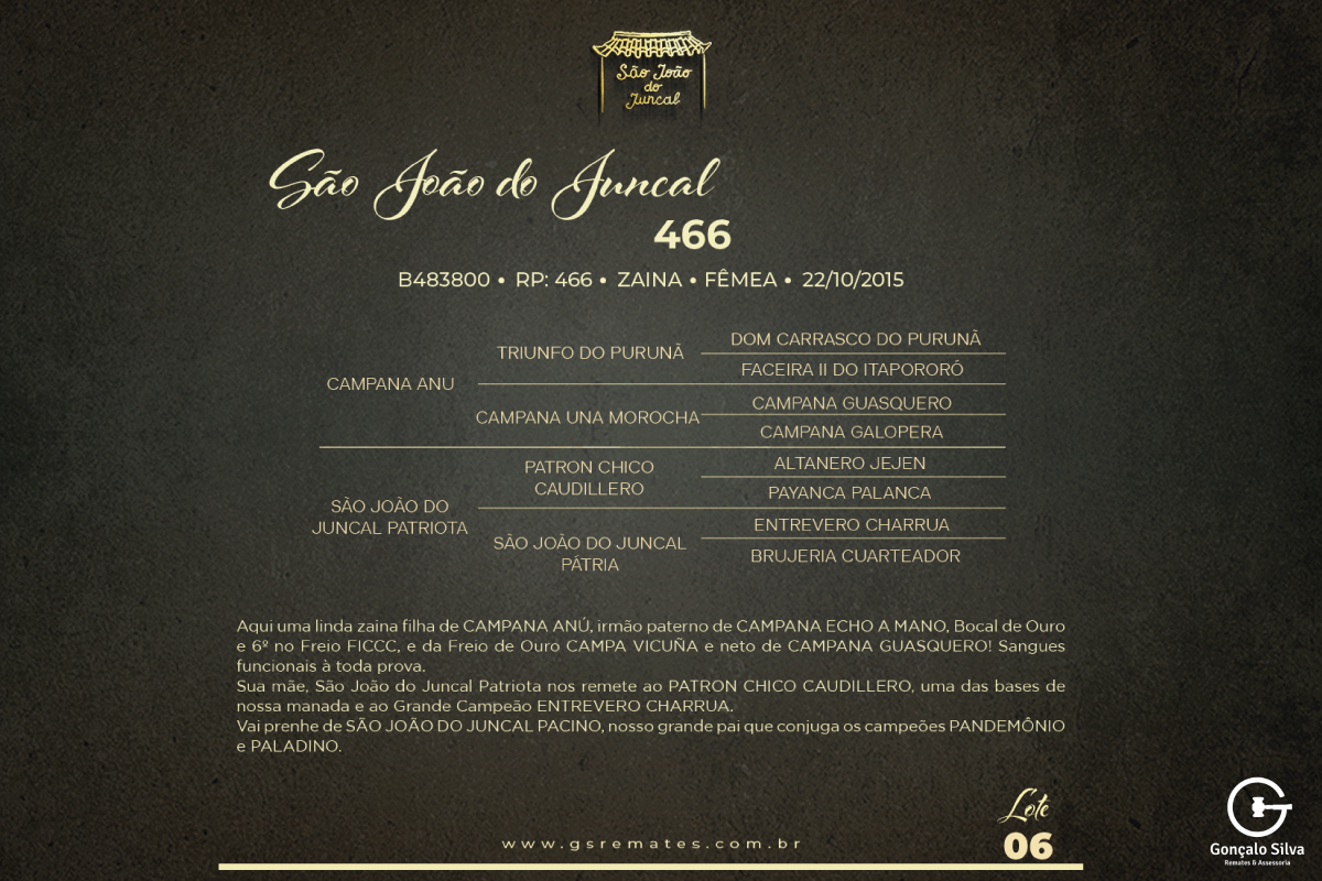 Geração SÃO JOÃO DO JUNCAL 466