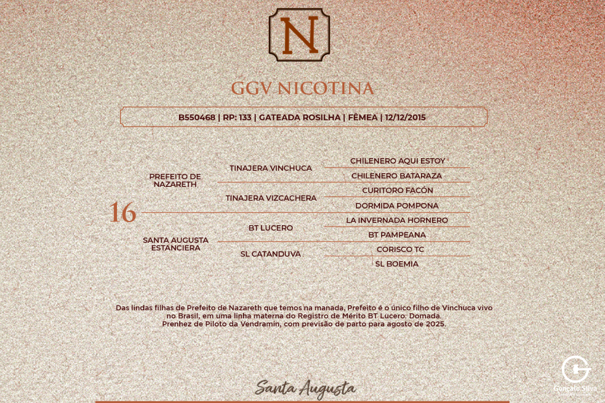 Geração GGV NICOTINA
