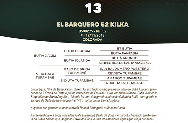 Geração EL BARQUERO 52 KILKA