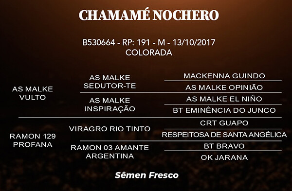 Geração CHAMAMÉ NOCHERO