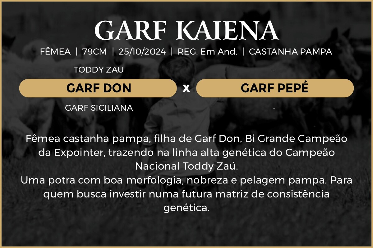 Geração GARF KAIENA 