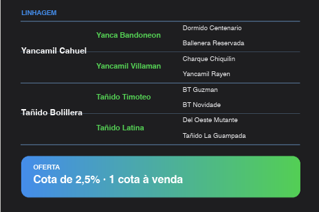 Geração TAÑIDO BUENAZO