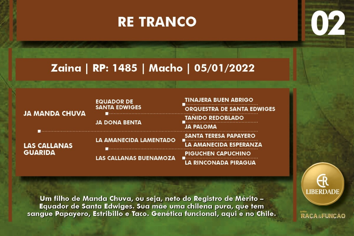 Geração RE TRANCO