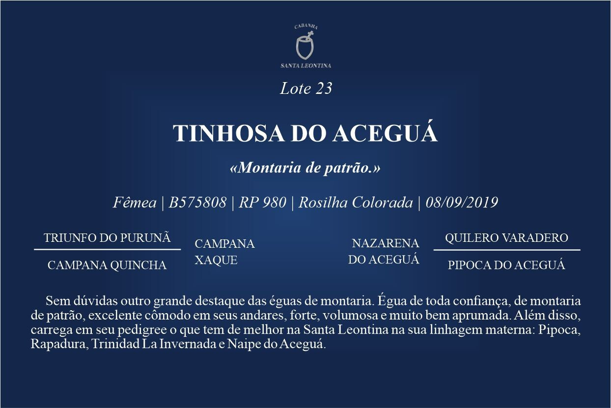 Geração TINHOSA DO ACEGUÁ