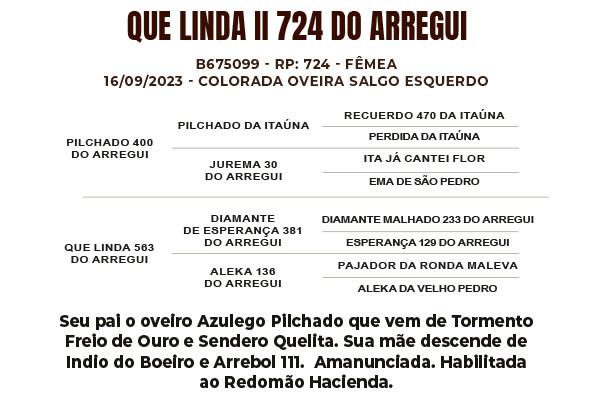 Geração QUE LINDA II 724 DO ARREGUI