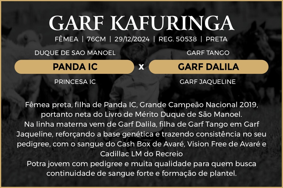 Geração GARF KAFURINGA
