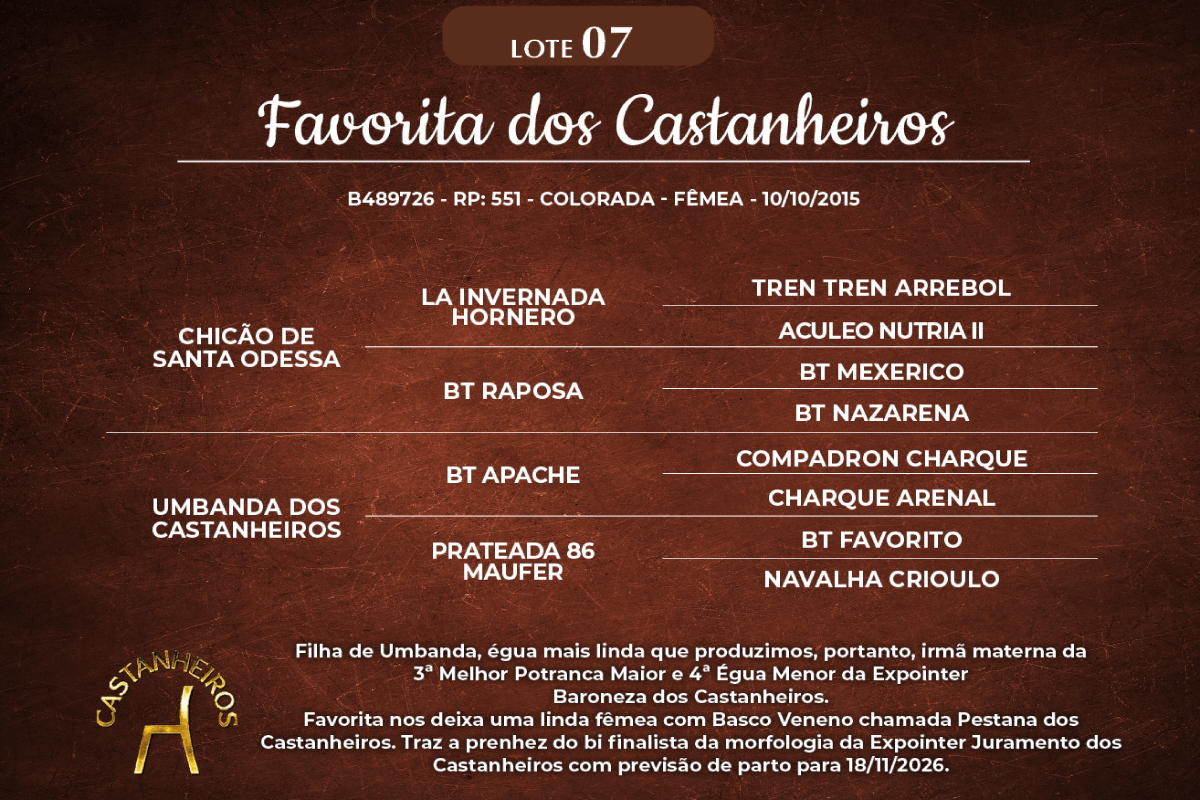 Geração FAVORITA DOS CASTANHEIROS