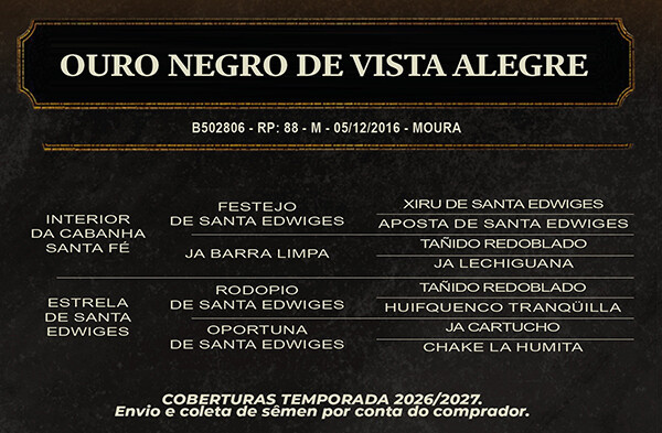 Geração OURO NEGRO DE VISTA ALEGRE 