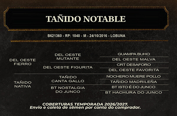 Geração TAÑIDO NOTABLE 
