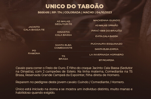 Geração UNICO DO TABOÃO 