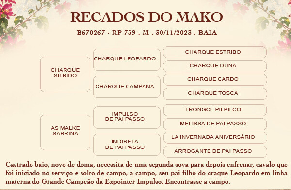 Geração RECADOS DO MAKO