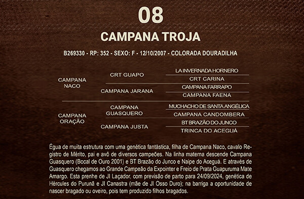 Geração CAMPANA TROJA