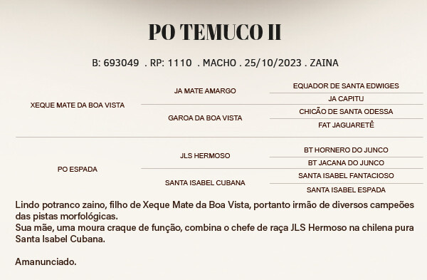 Geração PO TEMUCO II