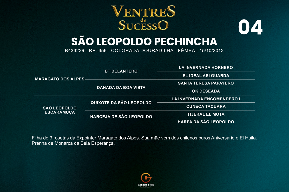 Geração SÃO LEOPOLDO PECHINCHA