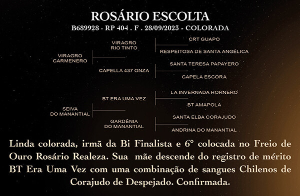 Geração ROSÁRIO ESCOLTA