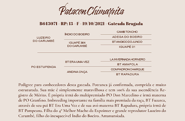 Geração PATACON CHIMARRITA