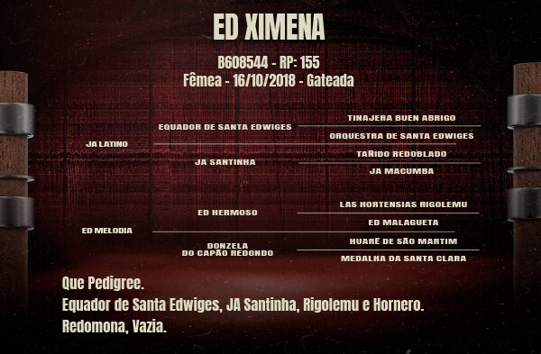 Geração ED XIMENA