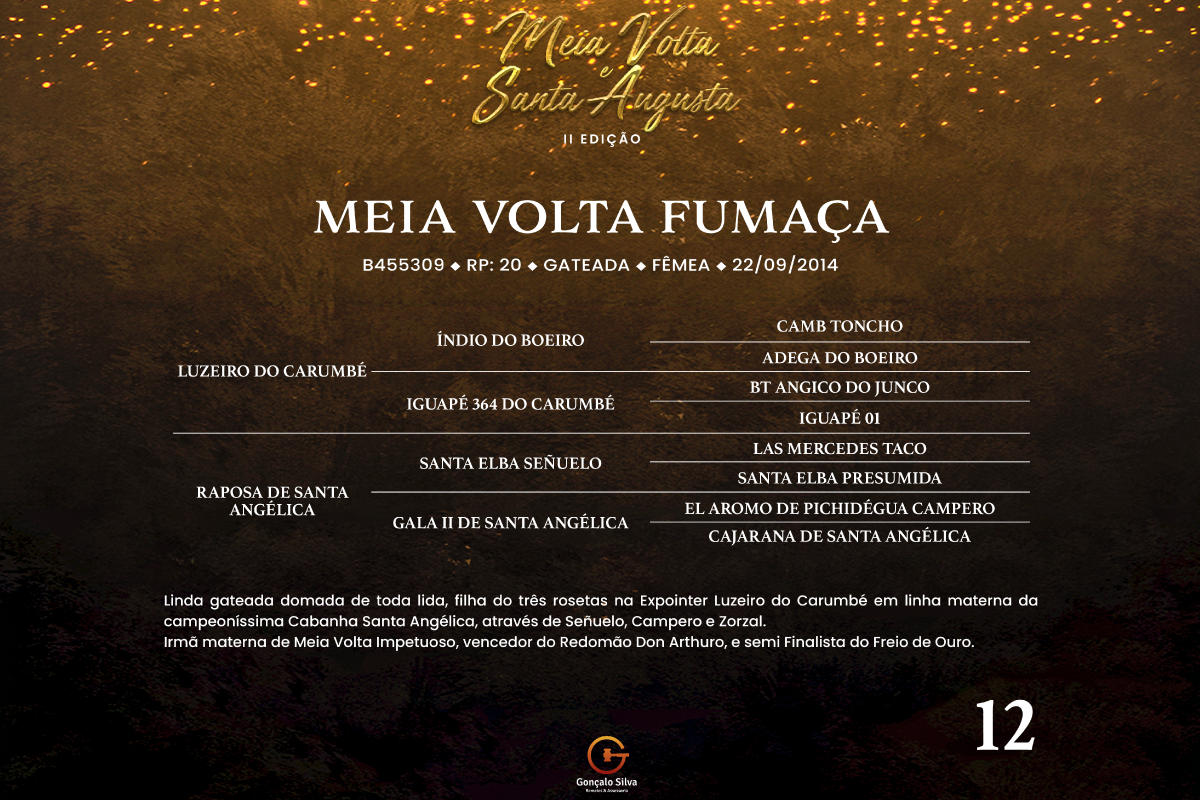 Geração MEIA VOLTA FUMAÇA