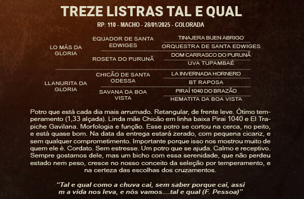 Geração TREZE LISTRAS TAL E QUAL