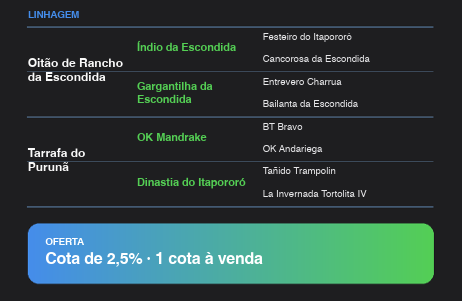 Geração NIAZZI IMPROVISO