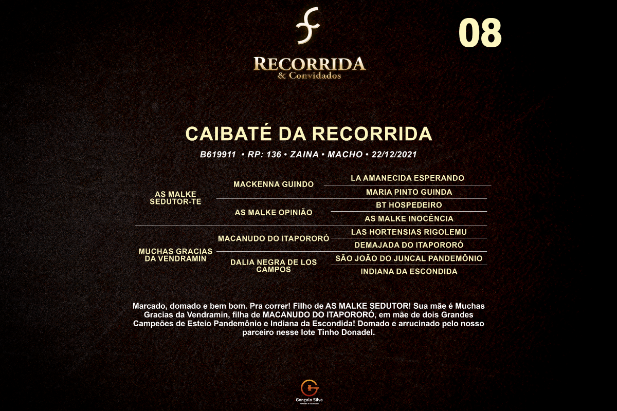 Geração CAIBATÉ DA RECORRIDA 