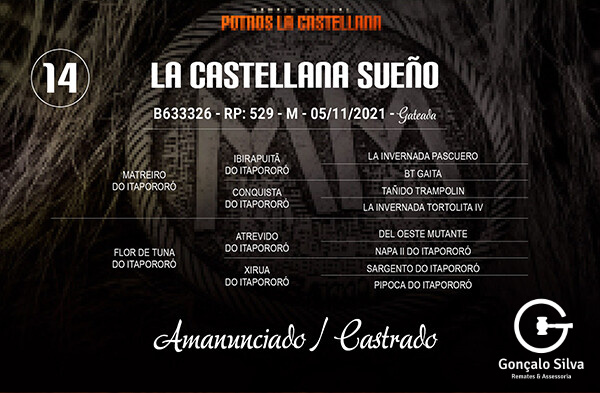 Geração LA CASTELLANA SUEÑO