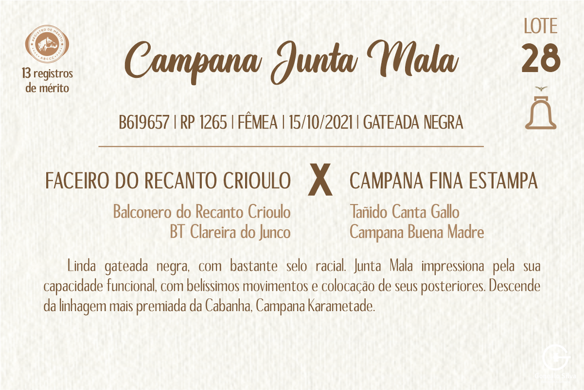 Geração CAMPANA JUNTA MALA