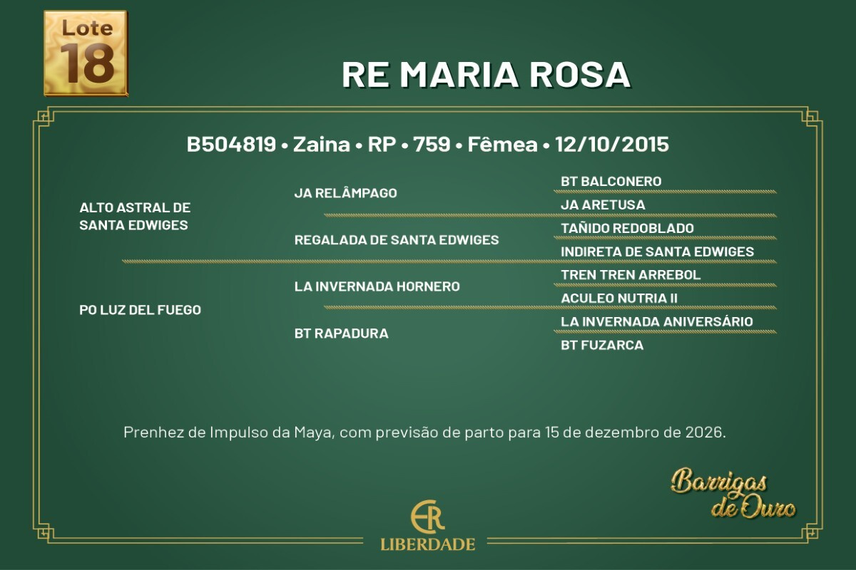 Geração RE MARIA ROSA