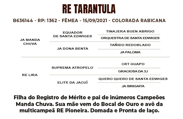 Geração RE TARANTULA - TE