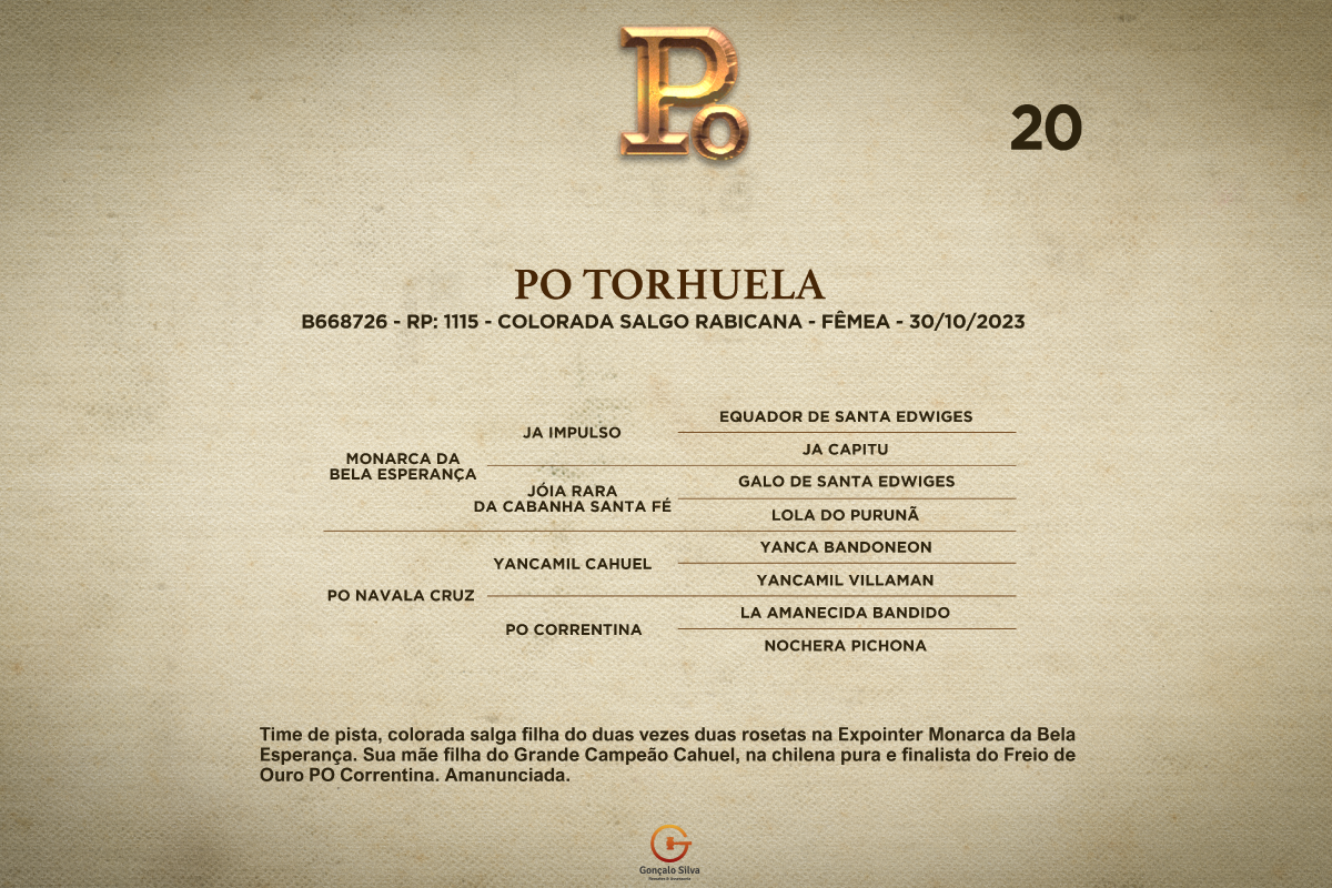 Geração PO TORHUELA
