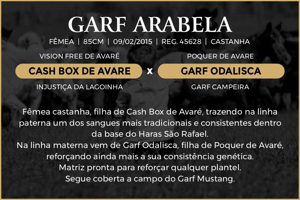Geração GARF ARABELA