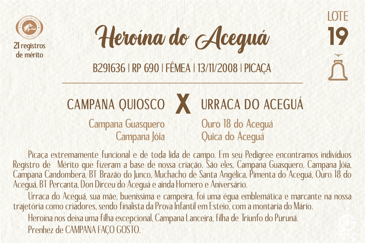 Geração HEROINA DO ACEGUÁ