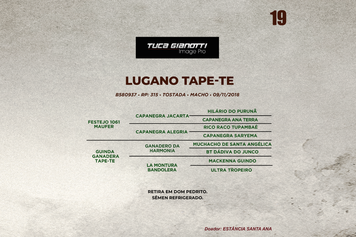 Geração LUGANO TAPE - TE 