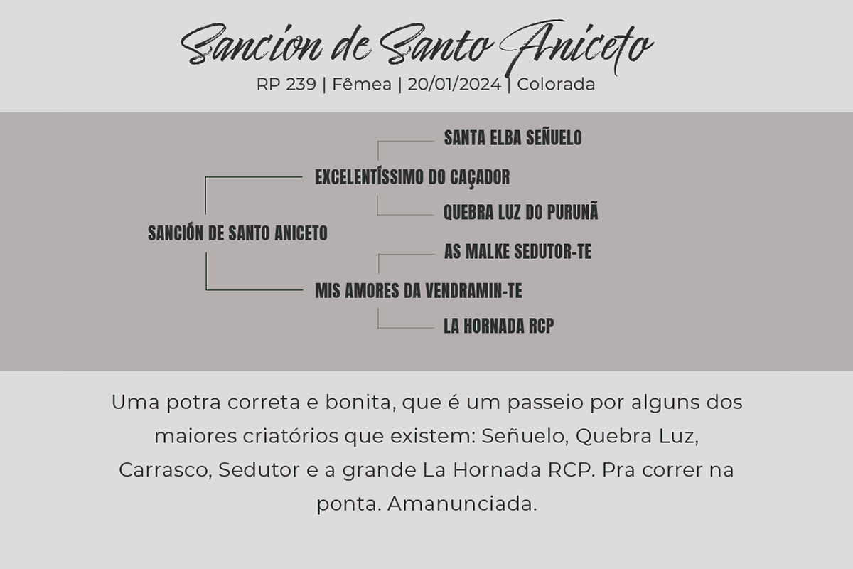 Geração SANCION DE SANTO ANICETO