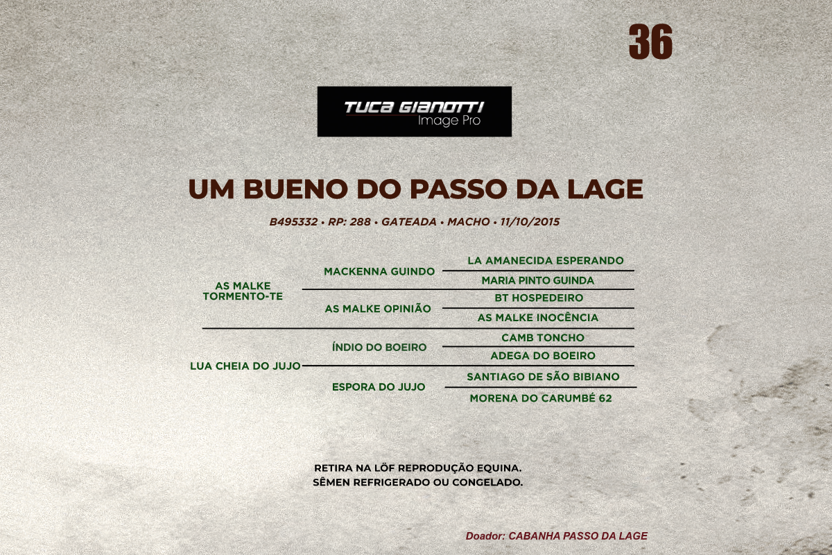 Geração UM BUENO DO PASSO DA LAGE 