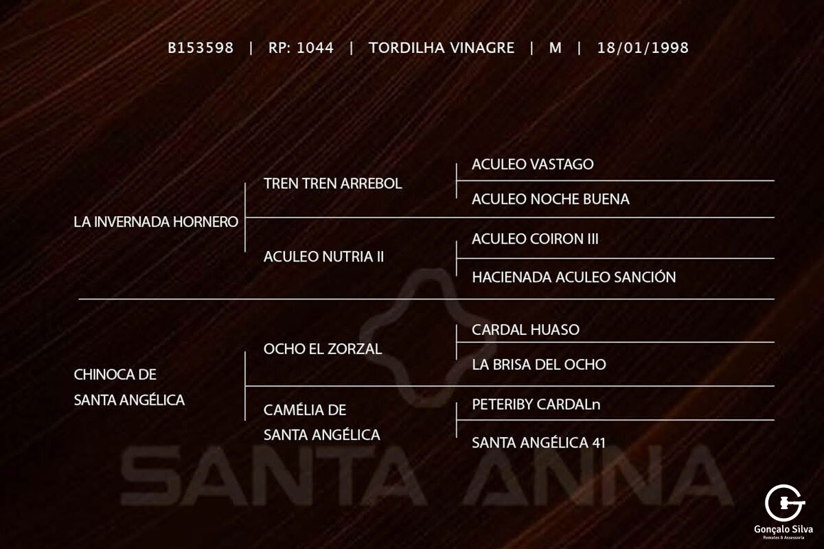 Geração INVERNO DA SANTA ANGÉLICA (Coberturas)
