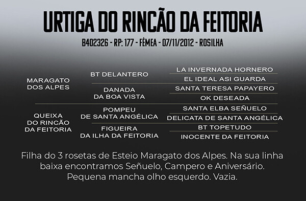 Geração URTIGA DO RINÇÃO DA FEITORIA 