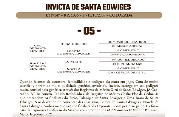 Geração INVICTA DE SANTA EDWIGES 