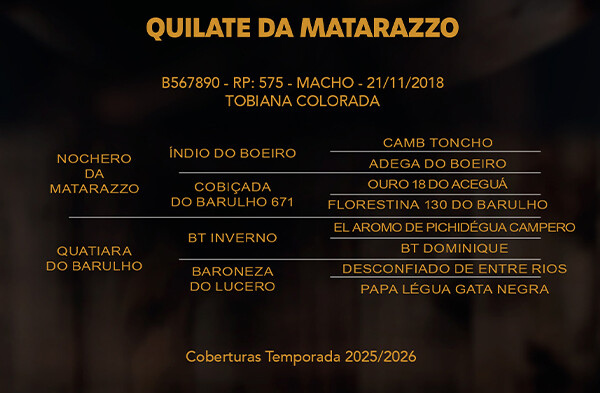 Geração QUILATE DA MATARAZZO