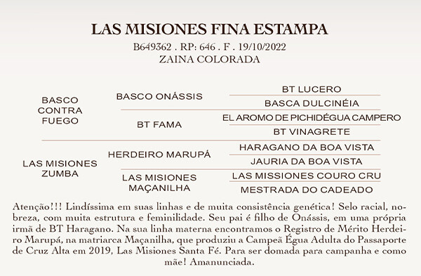 Geração  LAS MISIONES FINA ESTAMPA