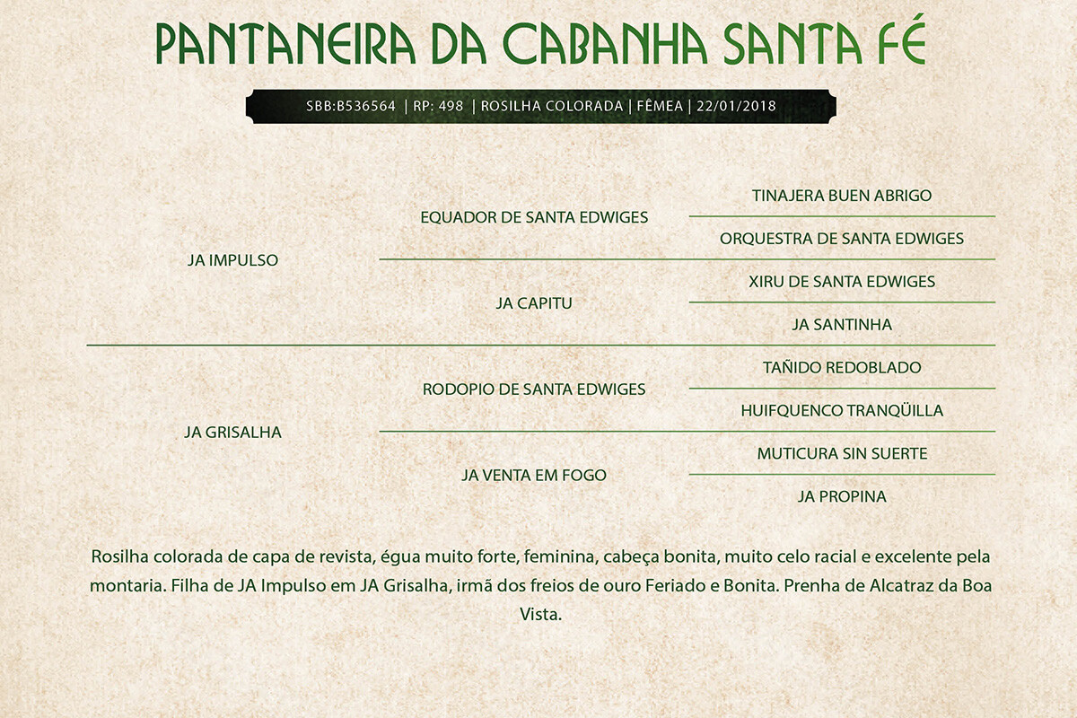 Geração PANTANEIRA DA CABANHA SANTA FÉ